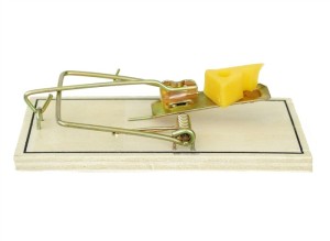 oergezond-gezondheidsdeskundige